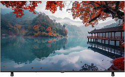 Телевизор LED Haier 55" LED H1 Frameless черный 4K Ultra HD 60Hz MEMC DVB-T DVB-T2 DVB-C DVB-S2 USB WiFi Smart TV
