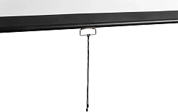 Экран Digis 120" 273x159см Optimal-D DSOD-16906MW 16:9 настенный рулонный белый