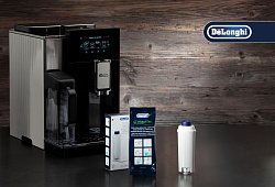 Картридж-фильтр для кофемашин Delonghi DLSC002