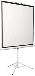 Экран Digis 96" 172x172см Kontur-D DSKD-1104 1:1 напольный рулонный