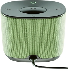 Умная колонка Sber Boom Home SBDV-00171V Салют св.зеленый 8W Mono BT/Wi-Fi