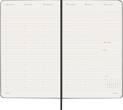 Еженедельник Moleskine PRO VERTICAL Large 130х210мм 168стр. черный