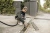 Строительный пылесос Karcher WD 4 S V-20/5/22 1000Вт (уборка: сухая/сбор воды) желтый