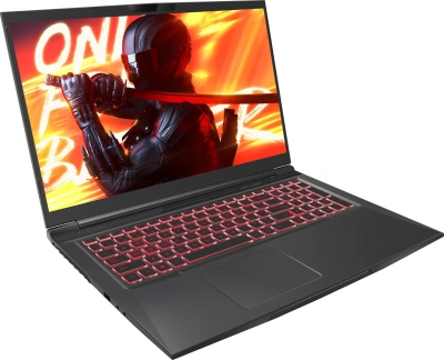 Ноутбук Maibenben X17A-R56035 Ryzen 5 6600H 16Gb SSD512Gb NVIDIA GeForce RTX 3050 4Gb 17.3" IPS FHD (1920x1080) Linux black WiFi BT Cam 4100mAh (X17A-R56035FFSLBRE0)