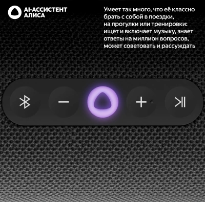 Умная колонка Yandex Стрит Алиса черный 30W 2.0 BT/Wi-Fi 10м 3300mAh (YNDX-00030BLK)