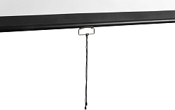 Экран Digis 112" 200x200см Optimal-D DSOD-1105 1:1 настенно-потолочный рулонный