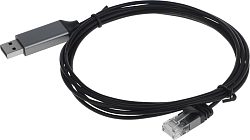 Кабель Buro BU-USB-A-LAN100-2m USB 2.0 A(m) RJ-45 (m) 2м (пакет)