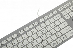 Клавиатура A4Tech Fstyler FX50 белый USB slim Multimedia (FX50 WHITE)