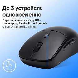 Мышь Оклик 489MW черный оптическая 3200dpi silent беспров. BT/Radio USB 6but (1885440)