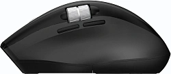 Мышь Acer OMR406 черный оптическая 4800dpi беспров. BT/Radio USB 8but (ZL.MCEEE.02W)