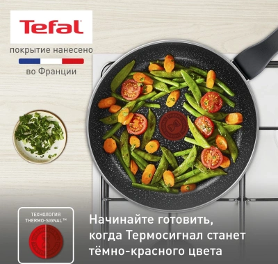 Сковорода Tefal Rock 4235124 круглая 24см покрытие: антипригарное ручка несъемная (без крышки) черный (9100054293)