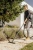 Строительный пылесос Karcher KWD 3 S V-15/4/20 AE *EU 1000Вт (уборка: сухая/сбор воды/выдув) желтый