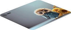 Коврик для мыши Cactus Owl gray рисунок 300x250x3мм (CS-MPC-D12M)