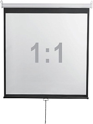 Экран Digis 112" 200x200см Optimal-D DSOD-1105 1:1 настенно-потолочный рулонный