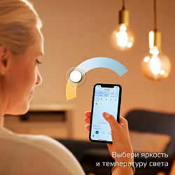 Умная лампа Gauss Smart Home ST64 E27 Wi-Fi (1310112)