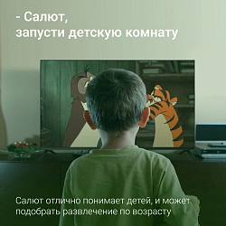 Телевизор LED Digma 43" DM-LED43SBB36 Салют ТВ Frameless Metal черный/черный FULL HD 60Hz DVB-T DVB-T2 DVB-C DVB-S DVB-S2 USB WiFi Smart TV