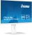 Монитор Iiyama 23.8" ProLite XUB2497HSU-W2 белый IPS LED 16:9 HDMI M/M матовая HAS Piv 300cd 178гр/178гр 1920x1080 100Hz DP FHD USB 4.9кг