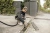 Строительный пылесос Karcher WD 4 V-20/5/22 1000Вт (уборка: сухая/сбор воды) желтый