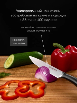 Набор ножей кухон. Polaris Stein-4SS (021983) компл.:4предм. черный подар.коробка