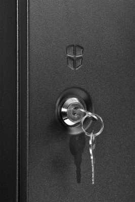 Шкаф коммутационный ЦМО ШРН-Эконом (ШРН-Э-18.350.1-9005) настенный 18U 600x350мм пер.дв.металл 85кг черный 300мм 21.69кг 180град. 878мм IP20 металл