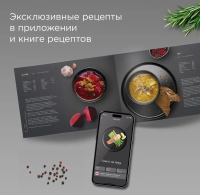 Мультиварка Редмонд MC101 5л 860Вт черный