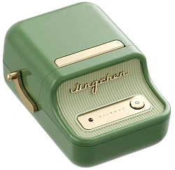 Термопринтер Niimbot B21_Pro pine green (1747186) 300dpi 60мм/с/USB/BT для печ.этик. зеленый