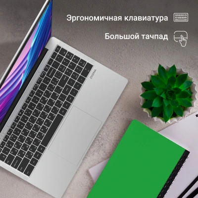 Ноутбук Digma EVE P5416 Pentium Silver N5030 4Gb SSD128Gb Intel UHD Graphics 605 15.6" IPS FHD (1920x1080) Windows 11 Pro silver WiFi BT Cam 5000mAh (DN15N5-4BXW01)