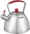 Чайник металлический Rondell Savvy RDS-1826 2.5л. стальной