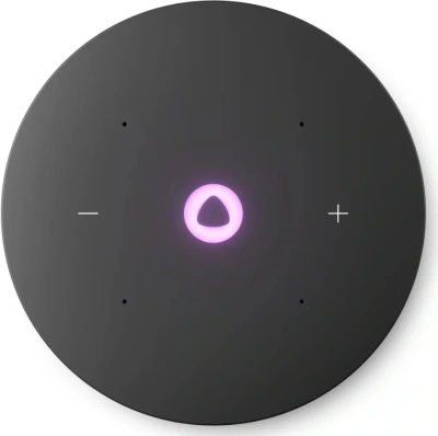 Умная колонка Yandex Станция Мини 3 Про Алиса серый 18W 2.0 BT/Wi-Fi (YNDX-00059GRY)