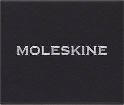 Шильд-символ Moleskine Zodiac Лев металл серебристый коробка с европод. PINLEOSILV