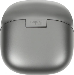 Гарнитура вкладыши Xiaomi Buds 5 M2341E1 серый беспроводные bluetooth в ушной раковине (BHR8116GL)