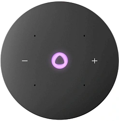 Умная колонка Yandex Станция Мини 3 Алиса черный 12W 1.0 BT/Wi-Fi (YNDX-00027BLK)