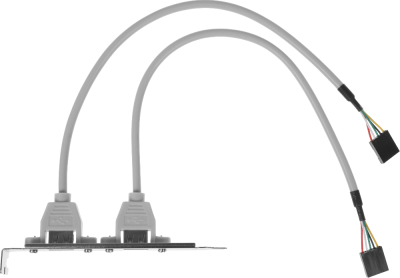 Адаптер USB Bracket 2xUSB2.0 Bulk