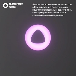 Умная колонка Yandex Станция Мини 3 Про Алиса черный 18W 2.0 BT/Wi-Fi (YNDX-00059BLK)