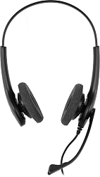 Наушники с микрофоном Jabra BIZ 1500 Duo черный 2.3м накладные USB оголовье (1559-0159)