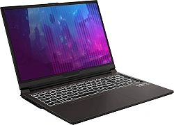 Ноутбук Osio CyberLine C160i-004 Core i7 12650H 16Gb SSD512Gb NVIDIA GeForce RTX4060 8Gb 16" IPS WUXGA (1920x1200) без ОС brown WiFi BT Cam 3410mAh