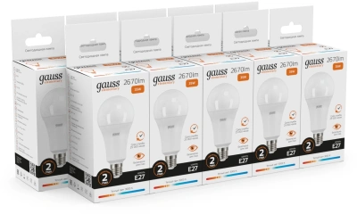 Лампа светодиодная Gauss Globe Elementary 35Вт цок.:E27 груша 220B 3000K св.свеч.бел.теп. А67 (упак.:1шт) (70215)