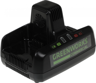 Зарядное устройство Greenworks G82C2 (2939007)