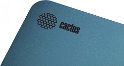 Коврик для мыши Cactus Owl blue 220x180x2мм (CS-MPC-P07XS)