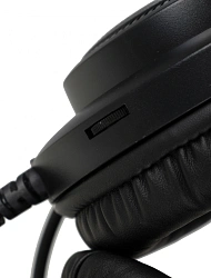 Наушники с микрофоном A4Tech Fstyler FH200U серый 2м накладные USB оголовье (FH200U GREY)