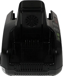 Зарядное устройство Greenworks G82C2 (2939007)