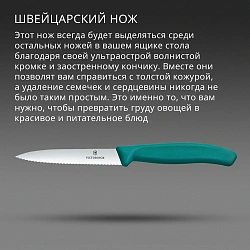 Нож кухонный Victorinox Swiss Classic (6.7734.C1) для чистки овощей и фруктов лезв.100мм серрейт. заточка зеленый