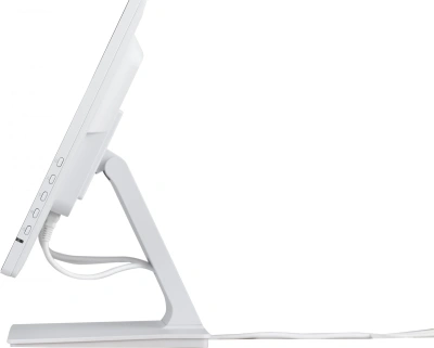 Монитор Iiyama 23.8" ProLite T2452MSC-W1 белый IPS LED 14ms 16:9 HDMI M/M матовая 1000:1 400cd 178гр/178гр 1920x1080 60Hz DP FHD USB Touch 5.6кг
