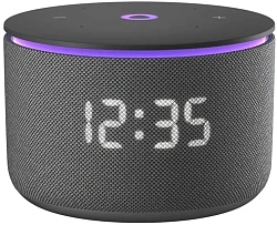 Умная колонка Yandex Станция Мини 3 Про Алиса черный 18W 2.0 BT/Wi-Fi (YNDX-00059BLK)