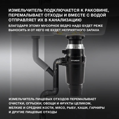 Измельчитель Hyundai HFWD 10390 390Вт черный/черный