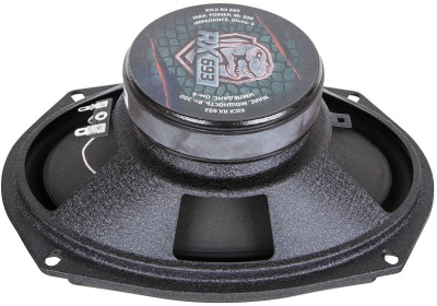 Колонки автомобильные Kicx RX 693 300Вт 91дБ 4Ом 15x23см (6x9дюйм) (ком.:2кол.) коаксиальные трехполосные
