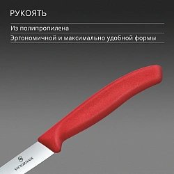 Нож кухонный Victorinox Swiss Classic 6.7701.C1 для овощей лезв.100мм прямая заточка красный