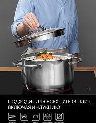 Кастрюля Polaris Solid-24C 6л. d=24см (с крышкой) серебристый (15135)