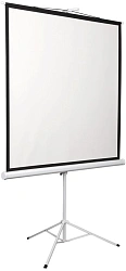 Экран Digis 112" 200x200см Kontur-D DSKD-1106 1:1 напольный рулонный