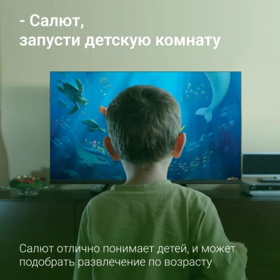 Телевизор LED Digma 32" DM-LED32SBB34 Салют ТВ Frameless Metal черный HD 60Hz DVB-T DVB-T2 DVB-C DVB-S DVB-S2 USB WiFi Smart TV